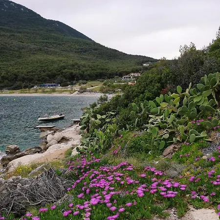 Beautiful By The Sea