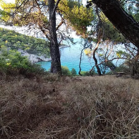 Beautiful By The Sea *