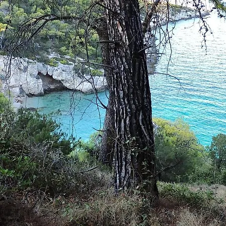 Beautiful By The Sea