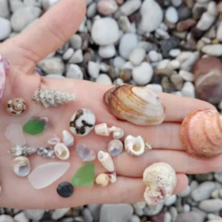 Beautiful By The Sea *